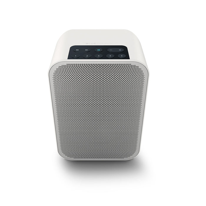 Bluesound Pulse Flex 2i Portable Wireless Multi-Room Music Streaming Speaker Factory Refurbished - Safe and Sound HQ