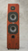 Legacy Audio Expression Floorstanding Loudspeaker (Pair) - Safe and Sound HQ