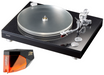 TEAC TN-5BB Belt Drive Analog Turntable with XLR Balanced Output - Safe and Sound HQ