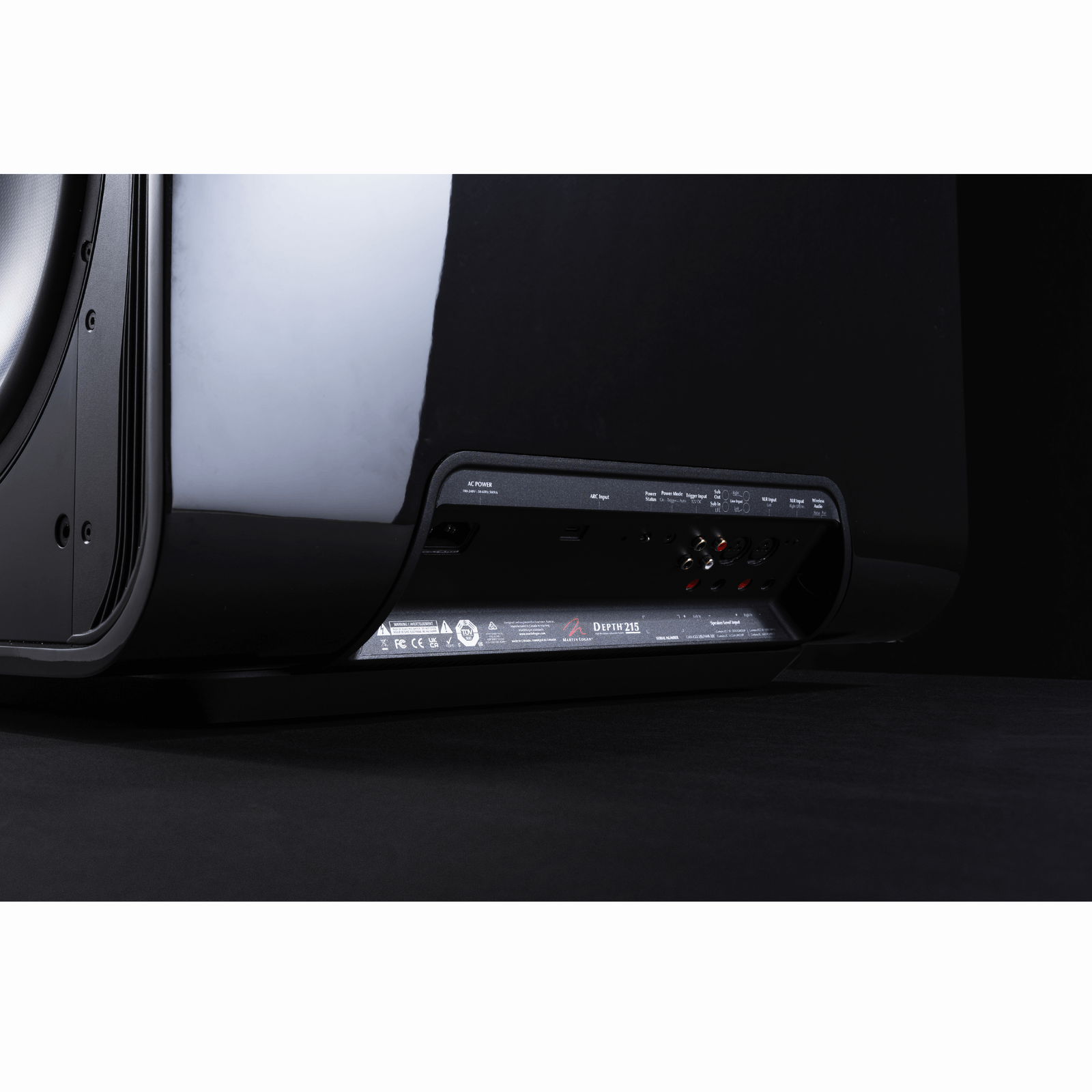 Martin Logan Depth 215 High-Resolution Dual 15