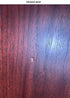 Martin Logan Motion 60XTi Floorstanding Speaker Scratch and Dent (Pair)