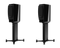 Dynaudio Confidence 20A Active Reference Stand-mount Bookshelf Monitor Speaker (Pair) - Safe and Sound HQ