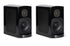 GoldenEar BRX Ultra-High-Performance Bookshelf Speaker Open Box (Pair) - Safe and Sound HQ
