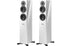 Dynaudio Evoke 30 Floorstanding Speaker (Pair)