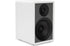 Onkyo GX-30ARC Creator Series Powered Monitor Speaker (Pair) - Safe and Sound HQ