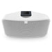 Bluesound Pulse 2i Premium Wireless Multi-Room Music Streaming Speaker - Safe and Sound HQ