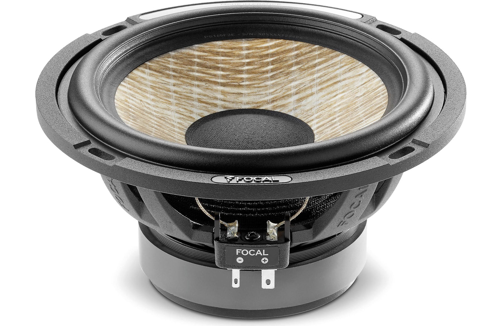 Focal PS 165 F3E Flax Evo Series 6-1/2