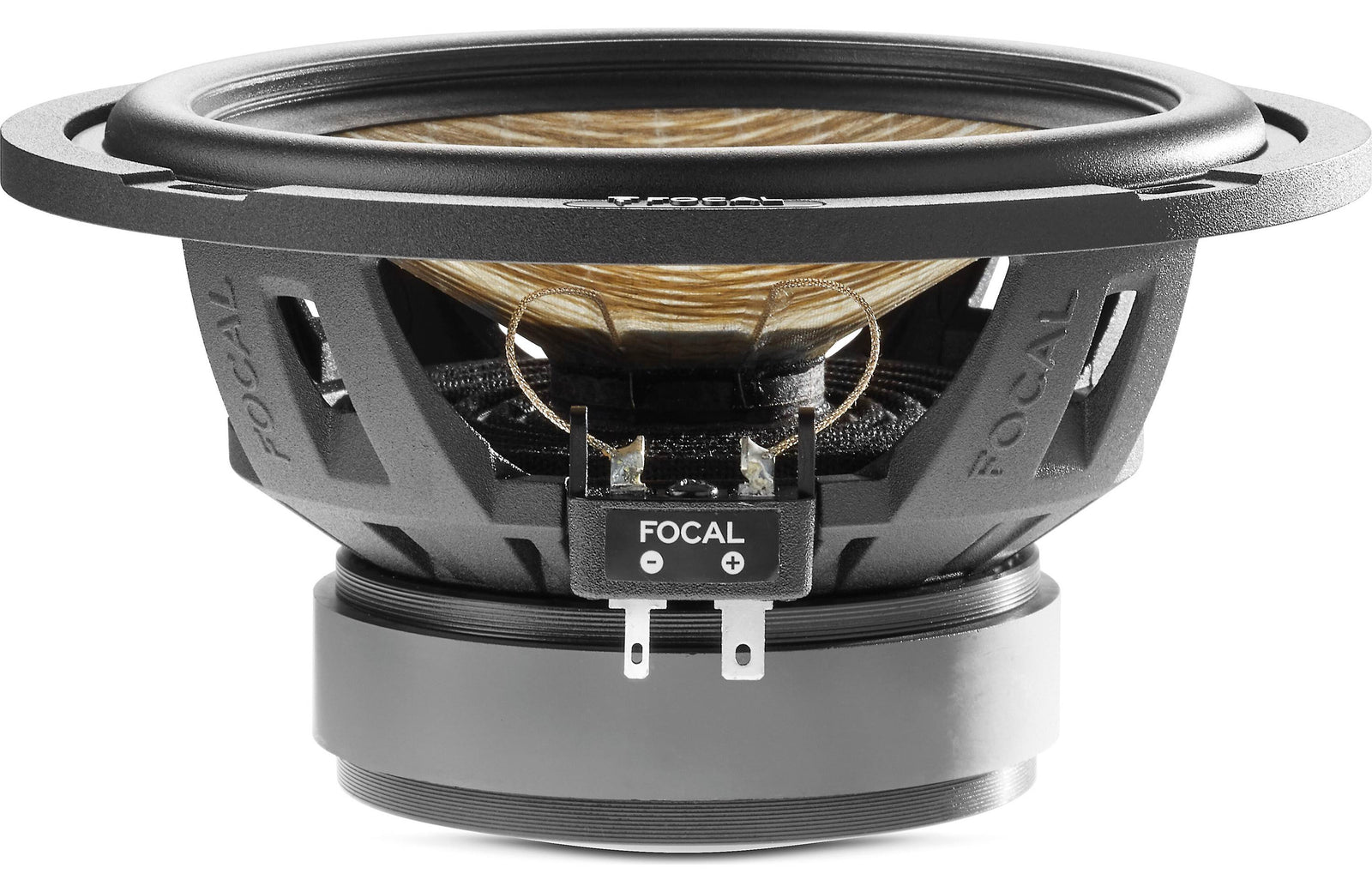 Focal PS 165 F3E Flax Evo Series 6-1/2